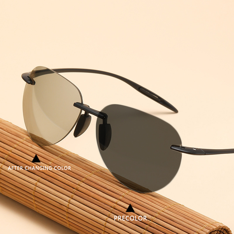 Polarized Photochromic Driv...