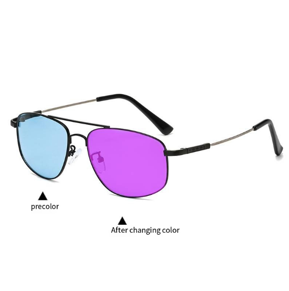 Photochromic Polarized Sung...